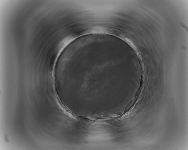 X0000097500864200802291557
