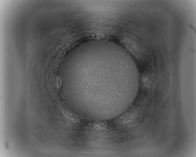 X0000097500865200802291556