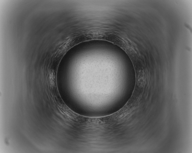 X0000097500866200802291556