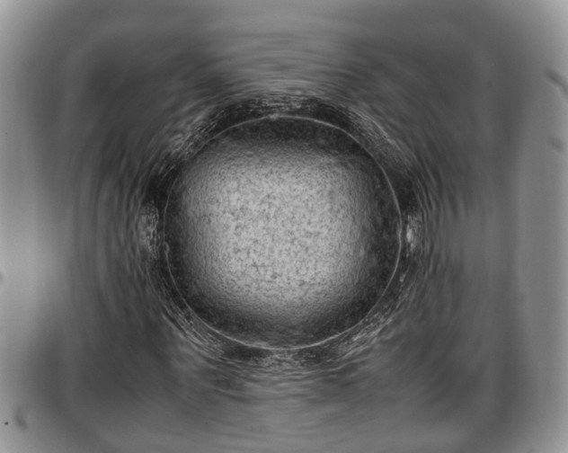 X0000097500867200802291556
