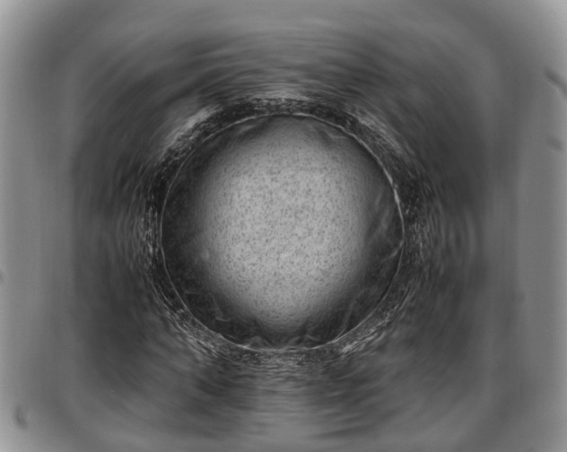 X0000097500870200802291556