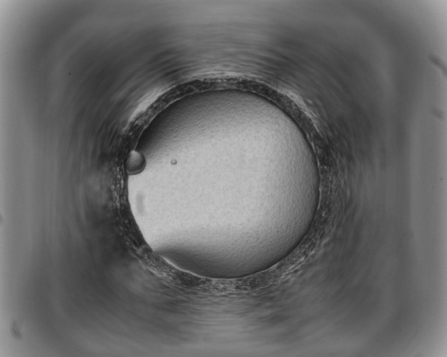 X0000097500871200802291556