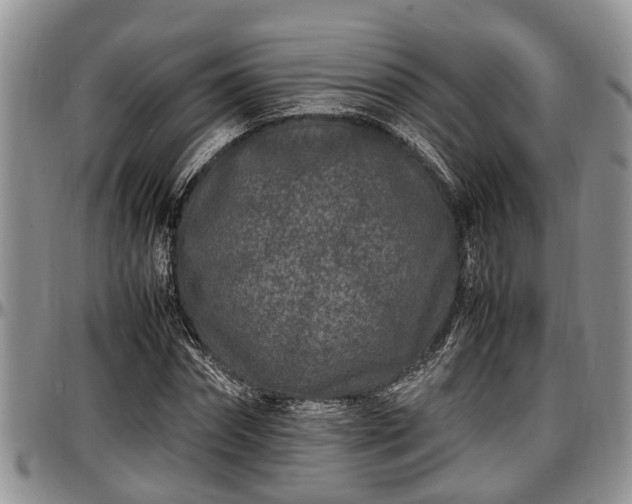 X0000097500874200802291556