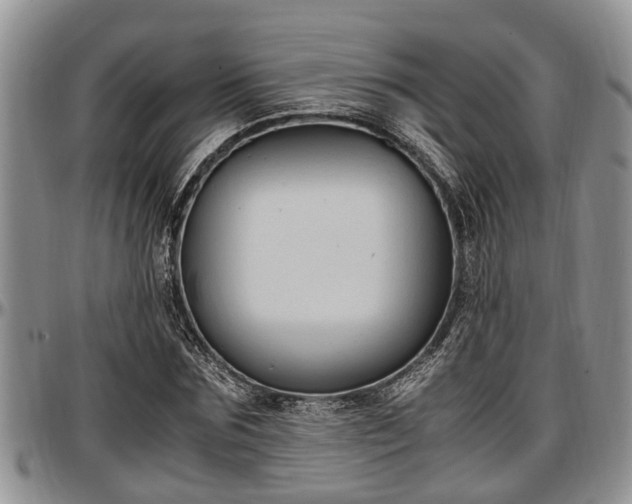 X0000097500875200802291556