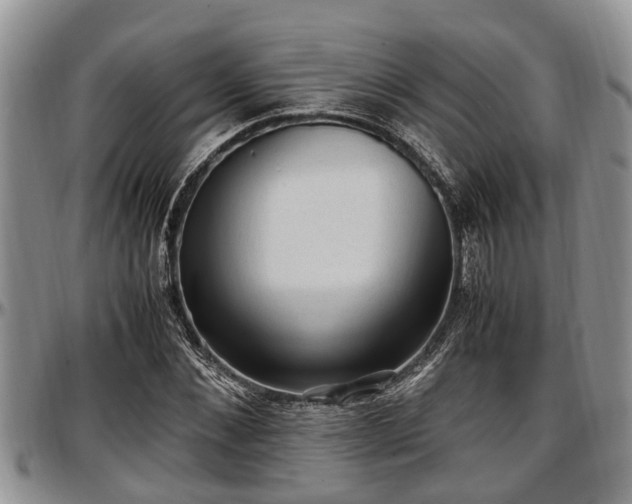 X0000097500876200802291556