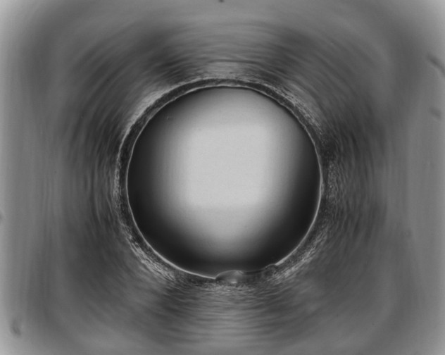 X0000097500880200802291556