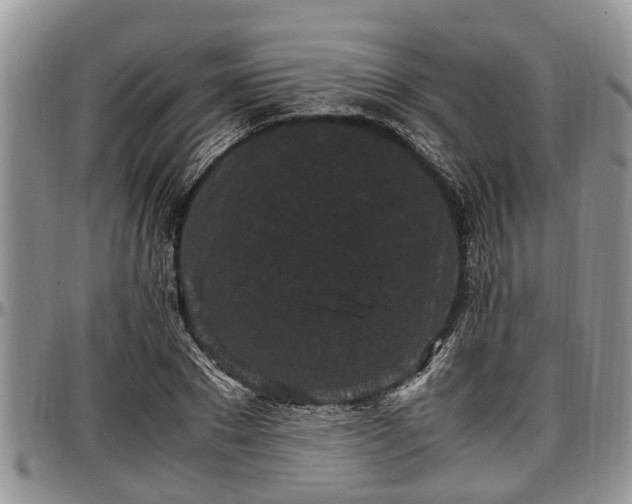 X0000097500881200802291556