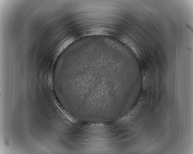 X0000097500882200802291556
