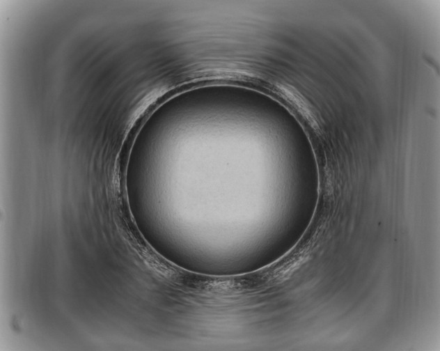 X0000097500883200802291556