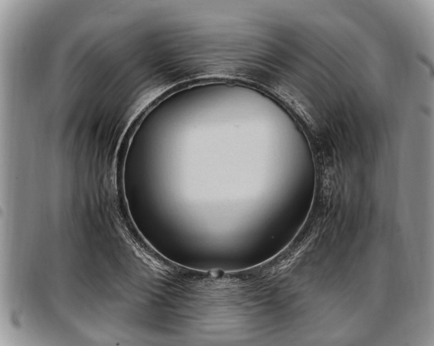X0000097500884200802291556