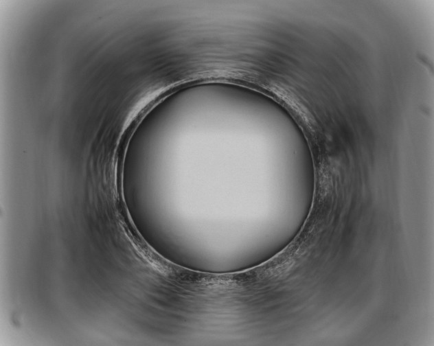 X0000097500886200802291556