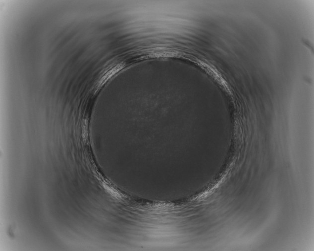 X0000097500889200802291555