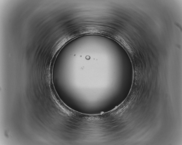 X0000097500890200802291555