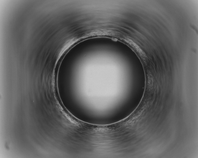 X0000097500894200802291555