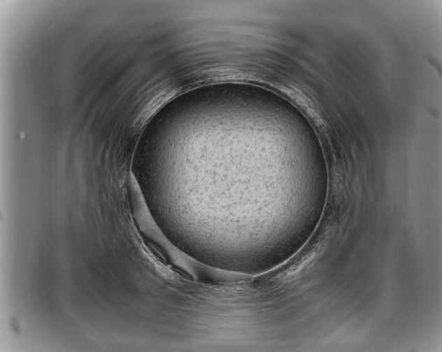 X0000097500897200802291555