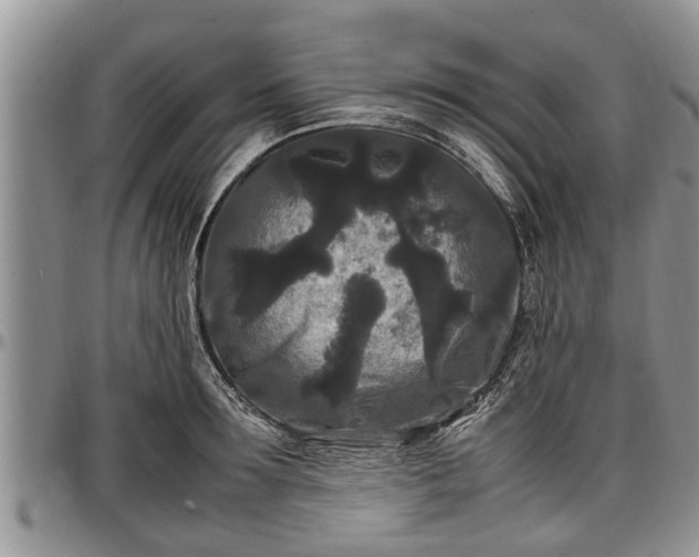 X0000097500899200802291555