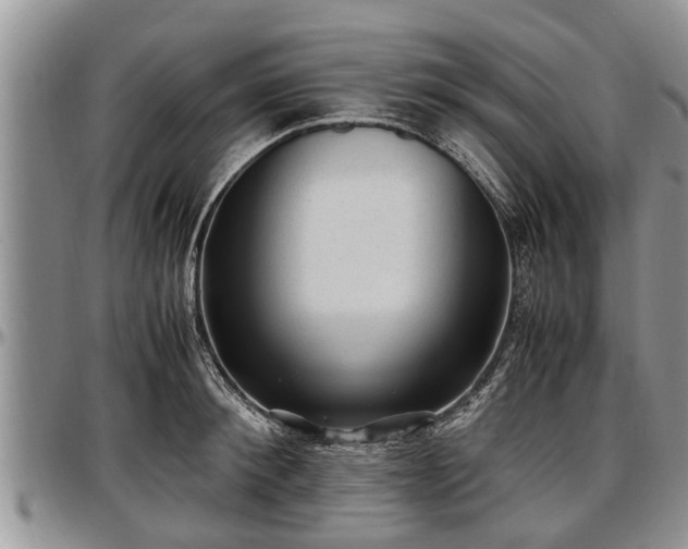 X0000097500900200802291555