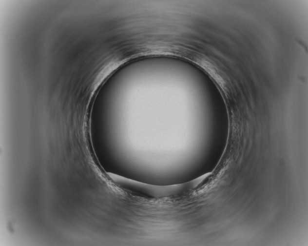 X0000097500901200802291555