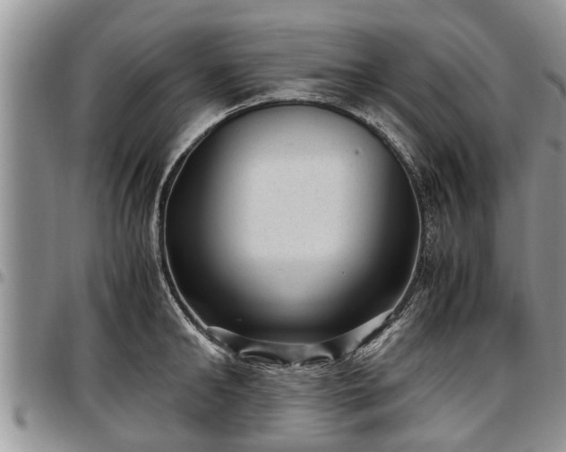 X0000097500902200802291555