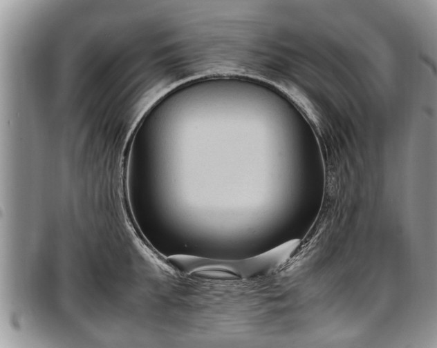 X0000097500903200802291555
