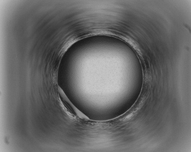 X0000097500905200802291555