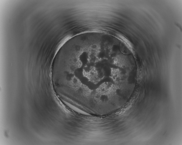 X0000097500907200802291555