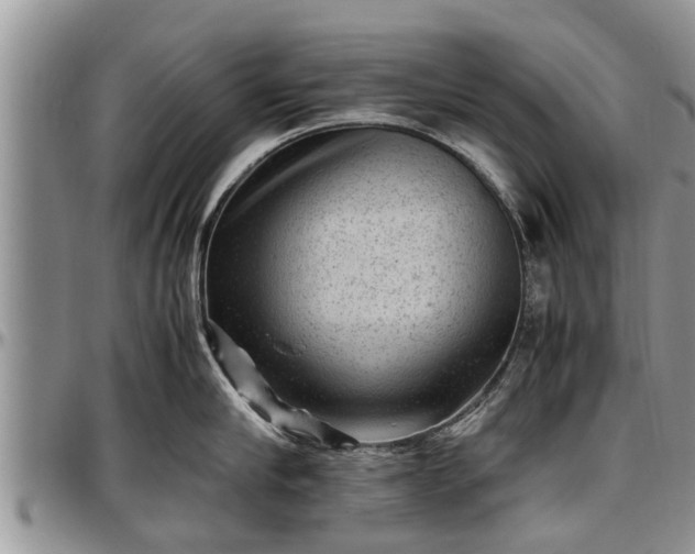X0000097500910200802291555