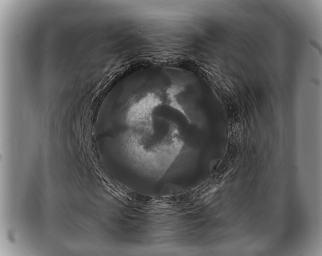 X0000097500913200802291554