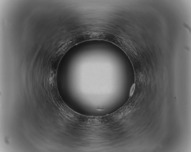 X0000097500914200802291554