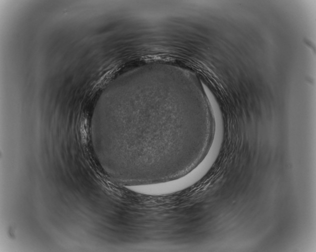 X0000097500915200802291554