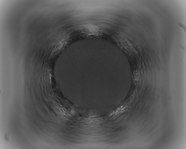 X0000097500916200802291554
