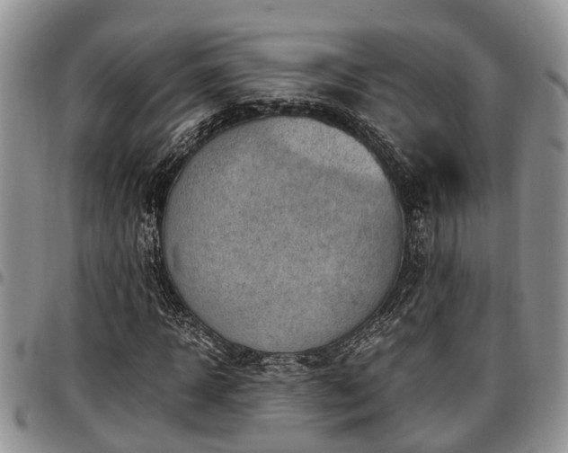 X0000097500918200802291555