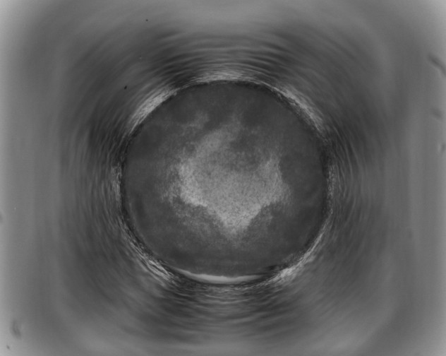 X0000097500921200802291555