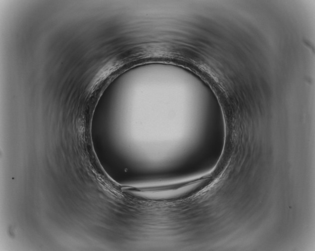 X0000097500922200802291555