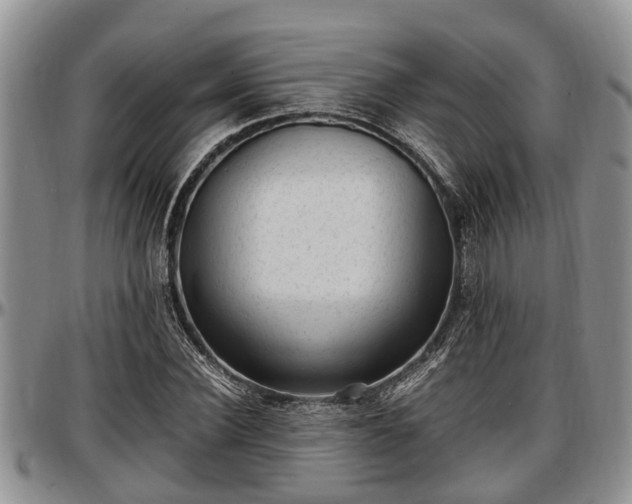 X0000097500924200802291555