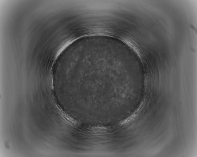 X0000097500925200802291555