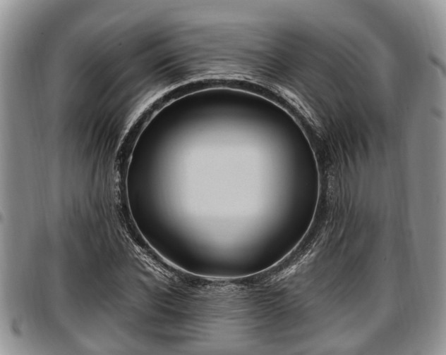 X0000097500926200802291555
