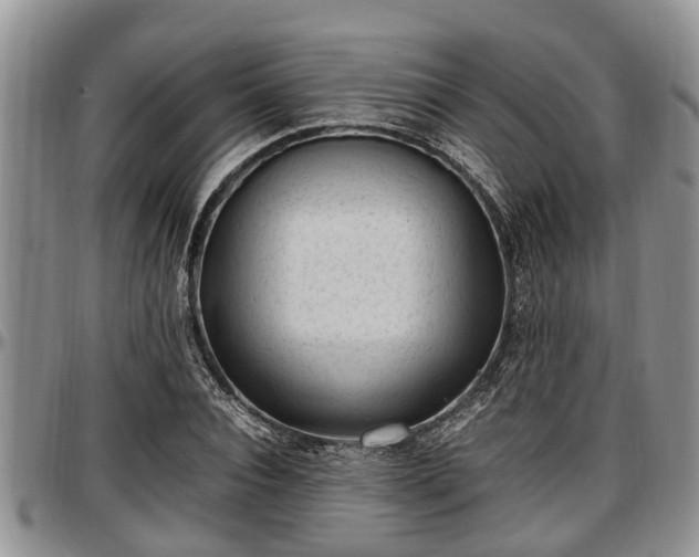 X0000097500928200802291555