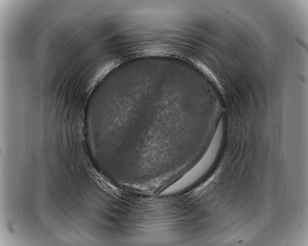 X0000097500930200802291555