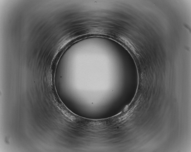 X0000097500931200802291555