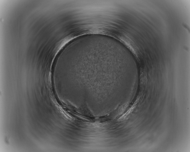 X0000097500932200802291555