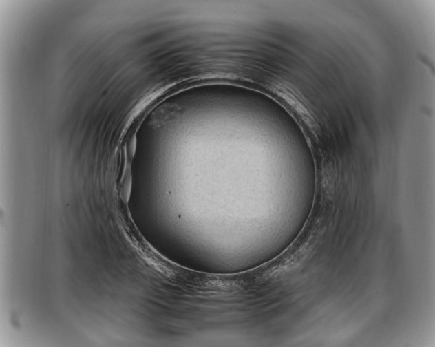 X0000097500933200802291555