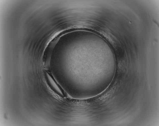 X0000097500934200802291555
