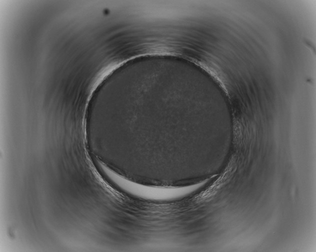 X0000097500935200802291555