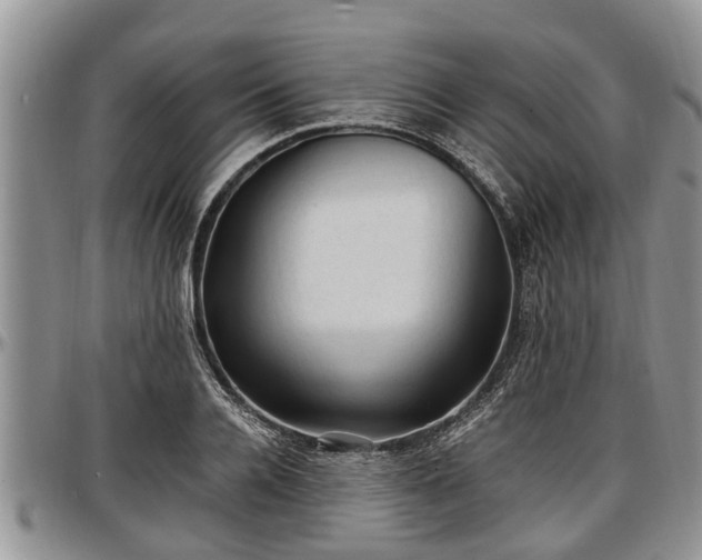 X0000097500936200802291555