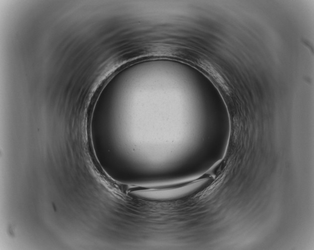 X0000097500939200802291555