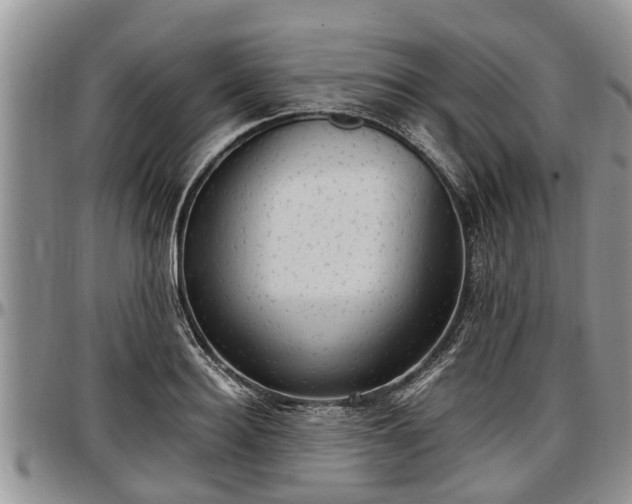 X0000097500940200802291555