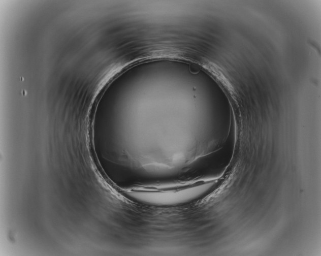 X0000097500941200802291555