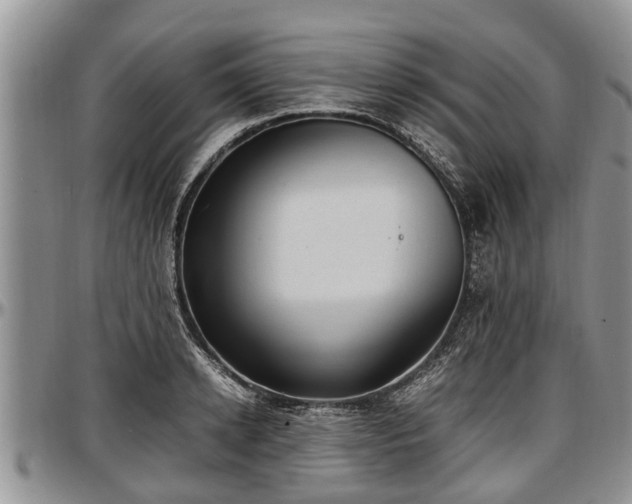 X0000097500942200802291555