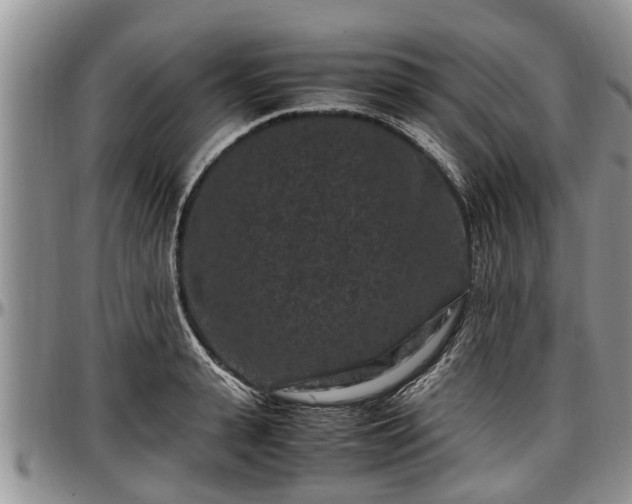 X0000097500943200802291555